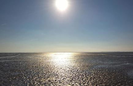 Komfortable Apartments in der Villa Eule - Foto 43