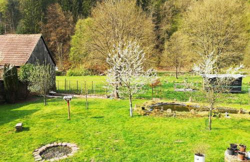 Sinnglück - Foto 10