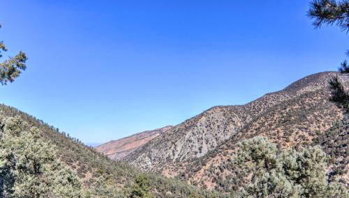 Idyllic Frazier Park Cabin Views, Pool Table - Foto 3
