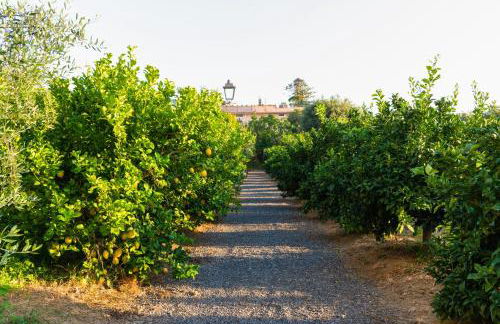 La Minucciola - Photo 40