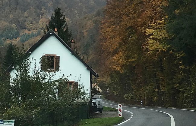 Visite Estrasburgo con un conductor privado - Provisión 4 horas - Foto 2