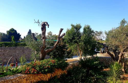 Villa Sargheruoli - Foto 48