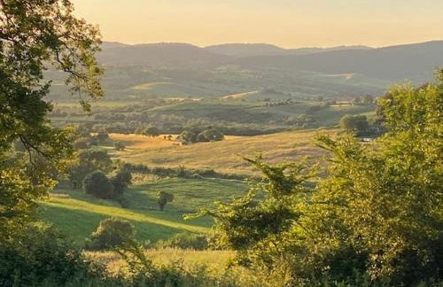 Podere Ainzara - Foto 8