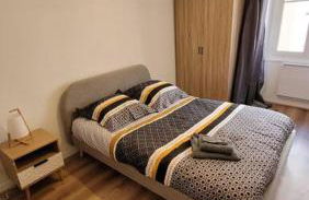 Bel Appart' 3 chambres 3 Sdb au centre-ville St Etienne - Foto 12