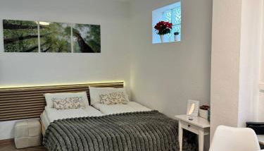 Studio Ohlendorf 3 Min zur A7 mit Parkplatz - Foto 2