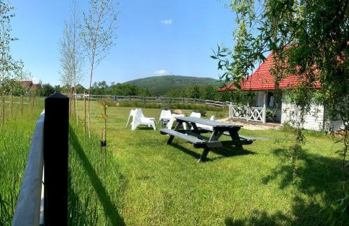 Bliżej Ślęży Domki pod Ślężą - Photo 1