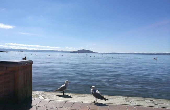 Great view near Rotorua lake - Foto 23