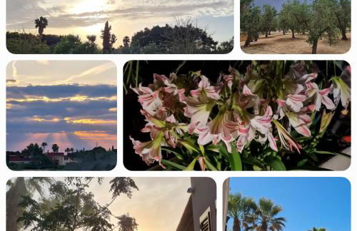 Villa Ulrike - Foto 12