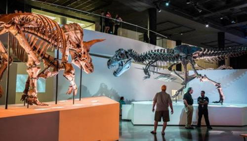 Crosby Backyard Oasis with Weekday Specials! - Foto 4