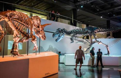 Crosby Backyard Oasis with Weekday Specials! - Foto 4