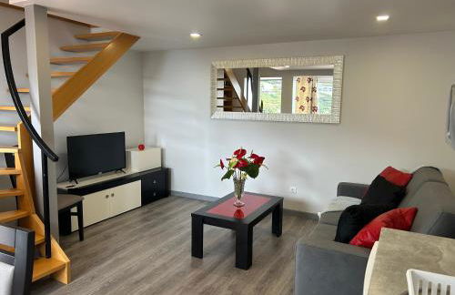 Tropical Garden - Photo 60