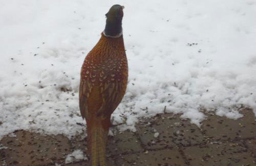 HummelCasa Ferienhaus Bayreuth - Foto 43