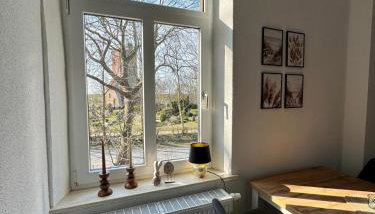 Robbe beim Ochsenturm am Deich - Foto 2