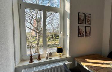 Robbe beim Ochsenturm am Deich - Foto 2