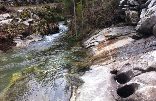 Quinta Porto dos Lobos - Foto 37
