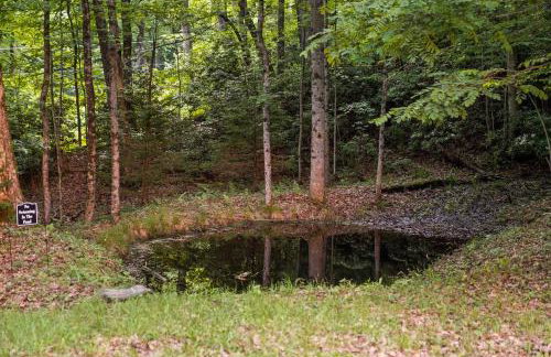 13min Summersville Lake | HotTub | FirePit | Quiet - Foto 80