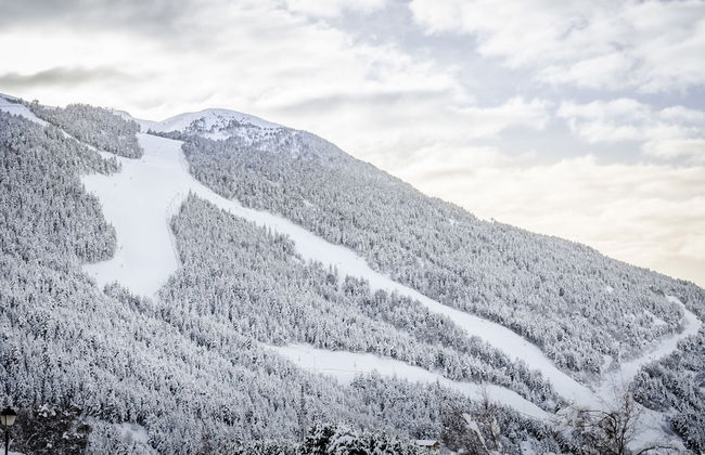 Apartamentos Prat de les Molleres - Foto 15