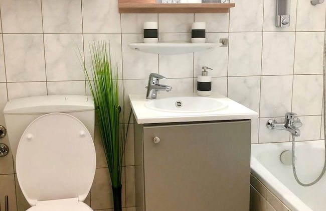 Comfort Apartment Goisernperle - Near Hallstatt - Foto 40