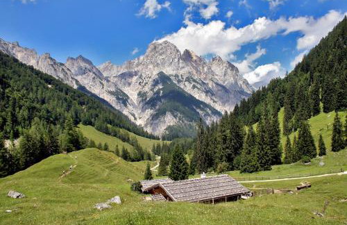 Ferienwohnungen Gästehaus Lärcheck - Foto 47