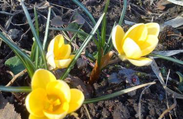 Mazurski Staw - Foto 60