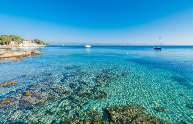 Sun Of Alcanada in Alc dia - Foto 28