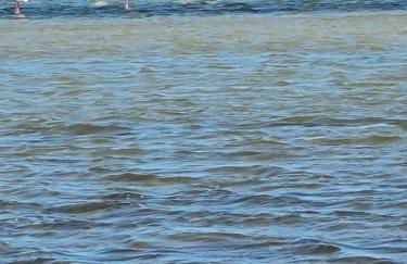 Casa Verano in Roda Golf and Beach Resort Mar Menor - Foto 43