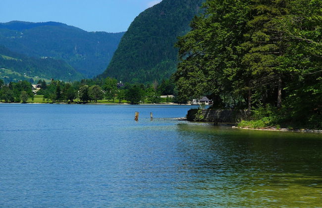 Balmy Apartment in Bohinjsko Jezero near Lake - Foto 31