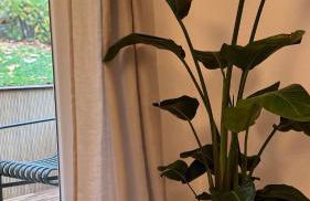 Hygge & Schwarzwald - 2 Zimmer Wohnung in Bad Krozingen - Foto 8