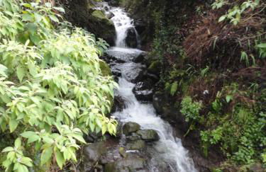 Casa da Ribeira - Foto 28