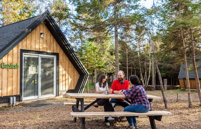 Wild Pines Cabins - Photo 33