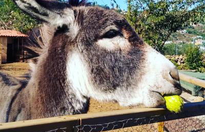 Los Huertos Conect with the nature & relax - Foto 64