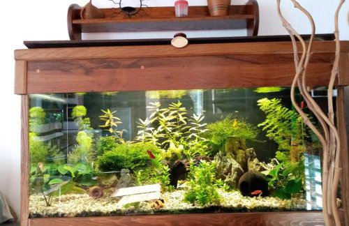 Apartment SEA VIEW - Foto 40