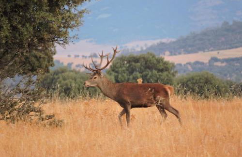 La Carpintería - Foto 23