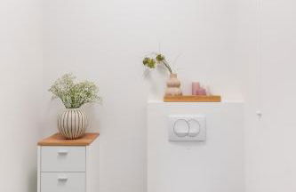 Basel-Tram 8-Tristate-Bridge-Riverview - Foto 22