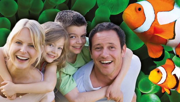 Palma Aquarium - Ticket - Foto 5