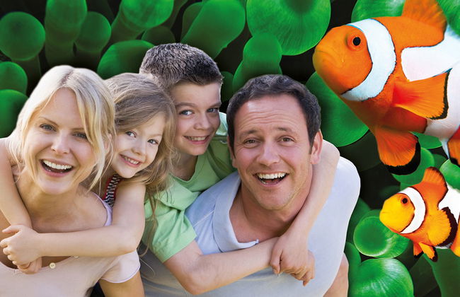 Palma Aquarium - Ticket - Foto 5