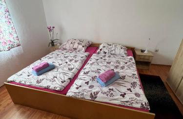 Apartman Djak - Foto 18