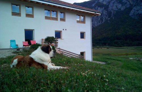 AGRITURISMO MASO PERTENER -adults friendly- - Foto 16