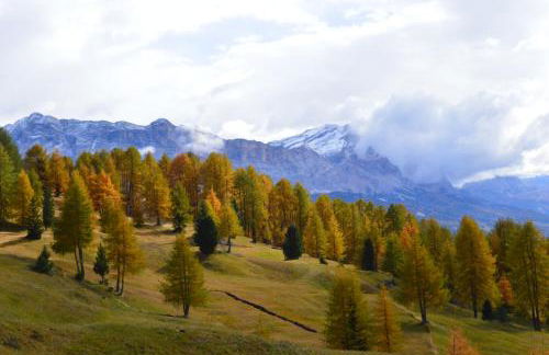 Agriturismo Anví - Photo 35