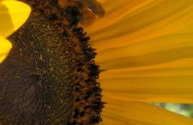 Domus in Horto - Foto 11