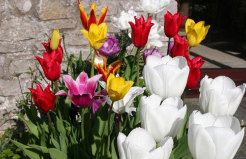 Birslack Grange - Foto 7