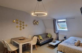 T1 rénové 29 m2 cosy confort ! - Foto 19