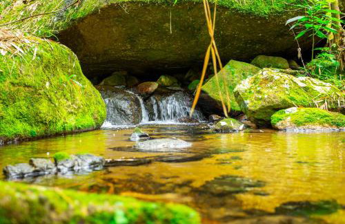 Casa Natu Ilhabela Portinho - Foto 44