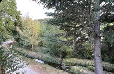 La Brisa Del Bierzo - Foto 43