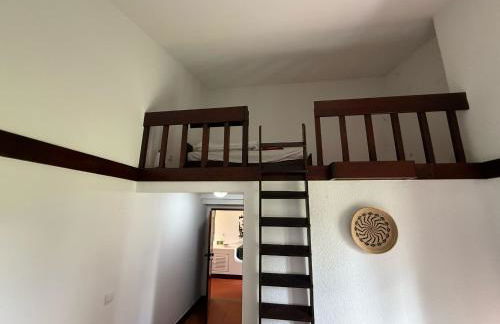 Herdade do Gamito - Foto 2