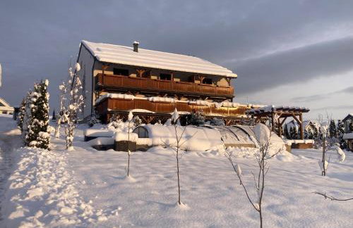 Apartamenty Black Lion - Foto 49