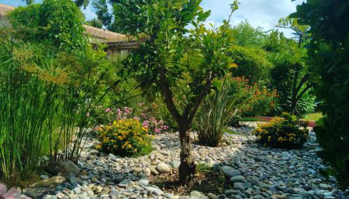 Le Râteau Bavoir - Foto 2, Garden, Garden view