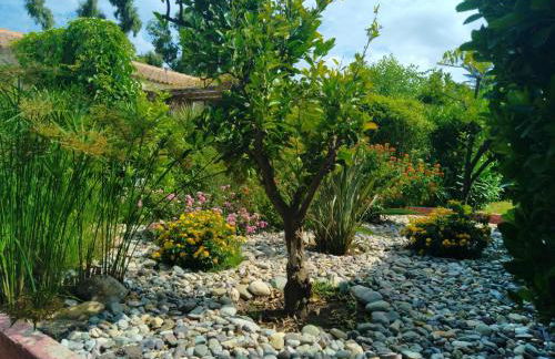 Le Râteau Bavoir - Foto 2