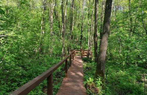 Zagroda nad Hańczą - Foto 39