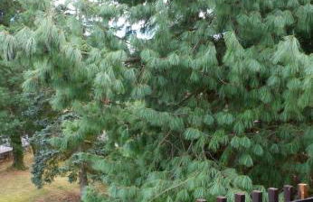 Les Sources de Saverne - Foto 9